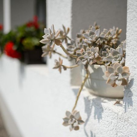 Hotel Bakta Haz Egerbakta Exteriér fotografie